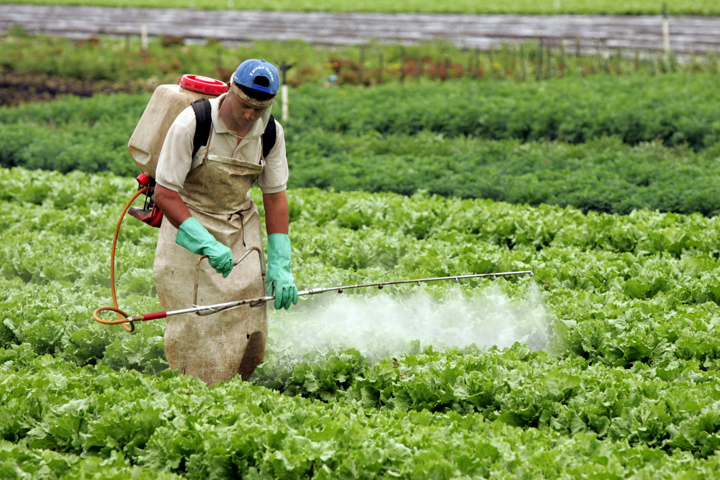 Trabalhadora contaminada por agrotóxicos vai receber indenização por danos morais